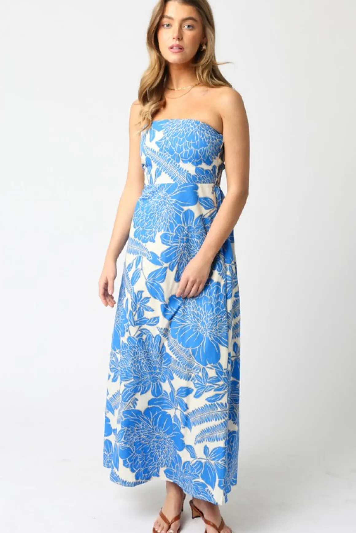Waitlist 5/5 ♥ Joss Sleeveless Floral Print Maxi Dress Blue