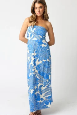 Waitlist 5/5 ♥ Joss Sleeveless Floral Print Maxi Dress Blue